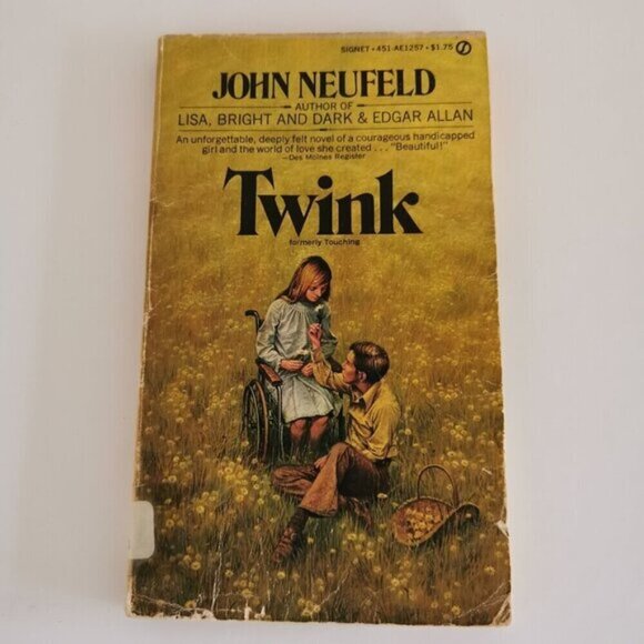 1970s Twink Fiction Novel by John Neufeld Paperback Vintage EX-LIBRARY Americana - Picture 4 of 9